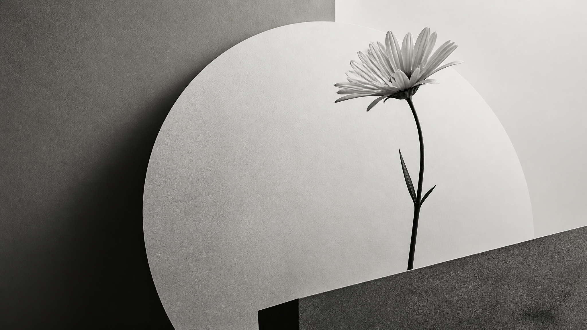 Monochrome artwork from the Aster Hale studio