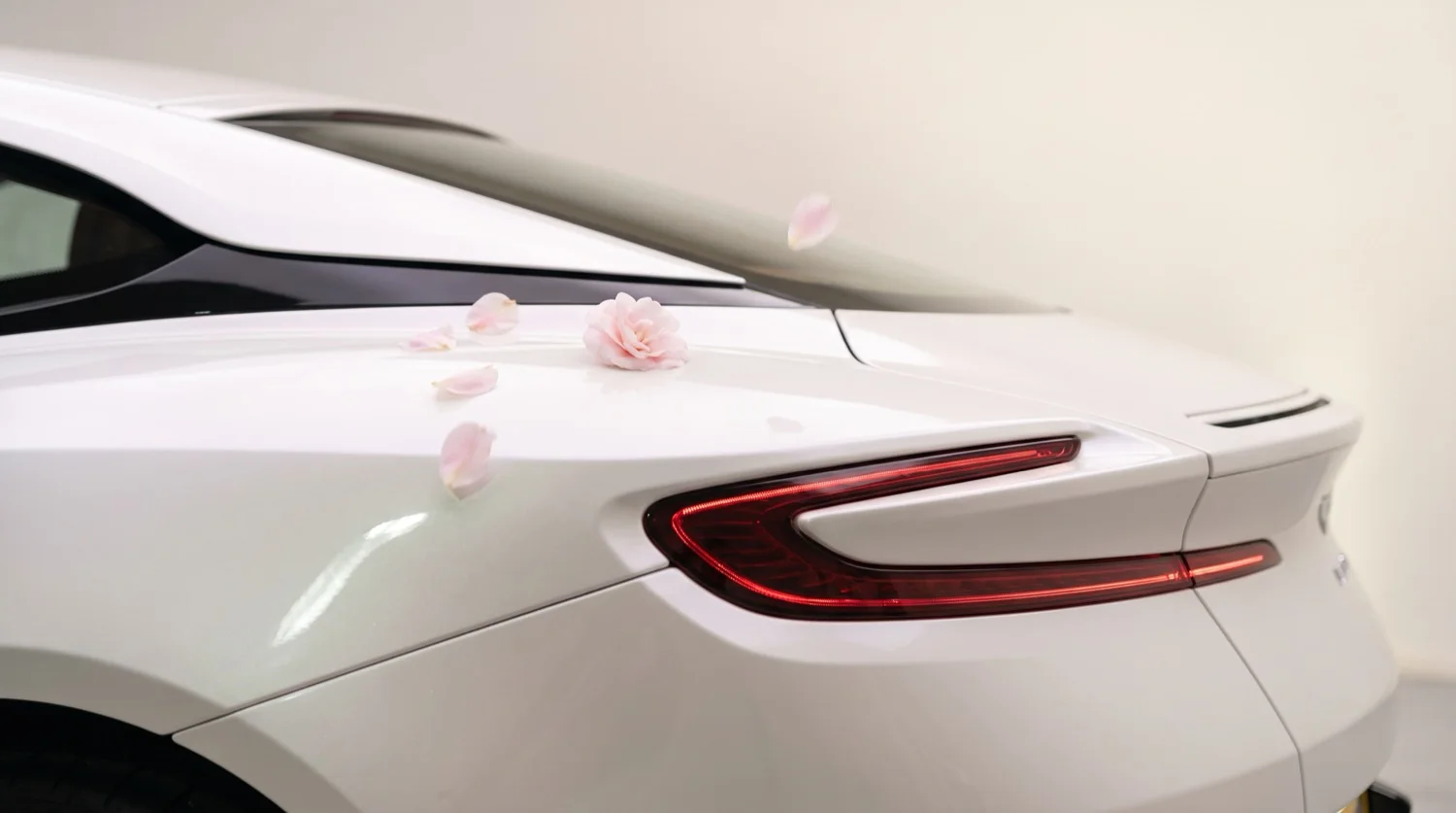 Rear haunch and tail light