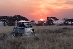 Africa