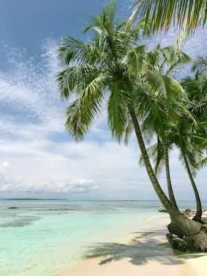 Oceania