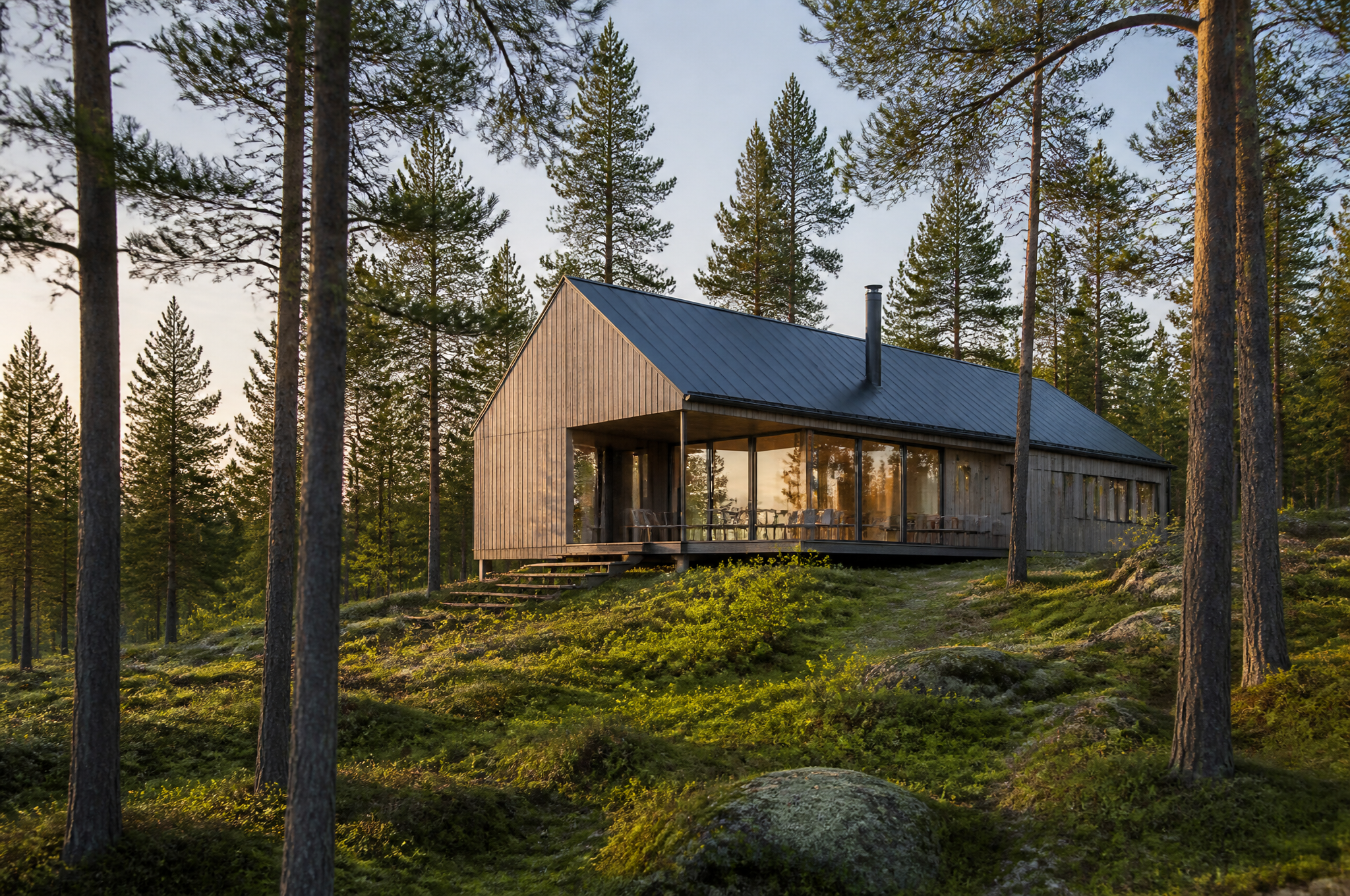 House in a forest