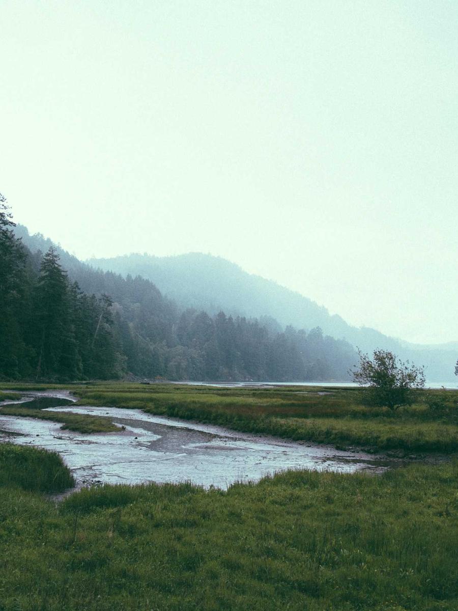 Lake at first light