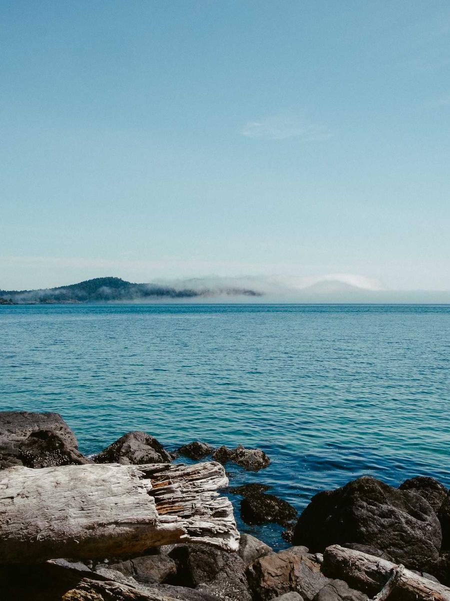 Sea cliffs in fog
