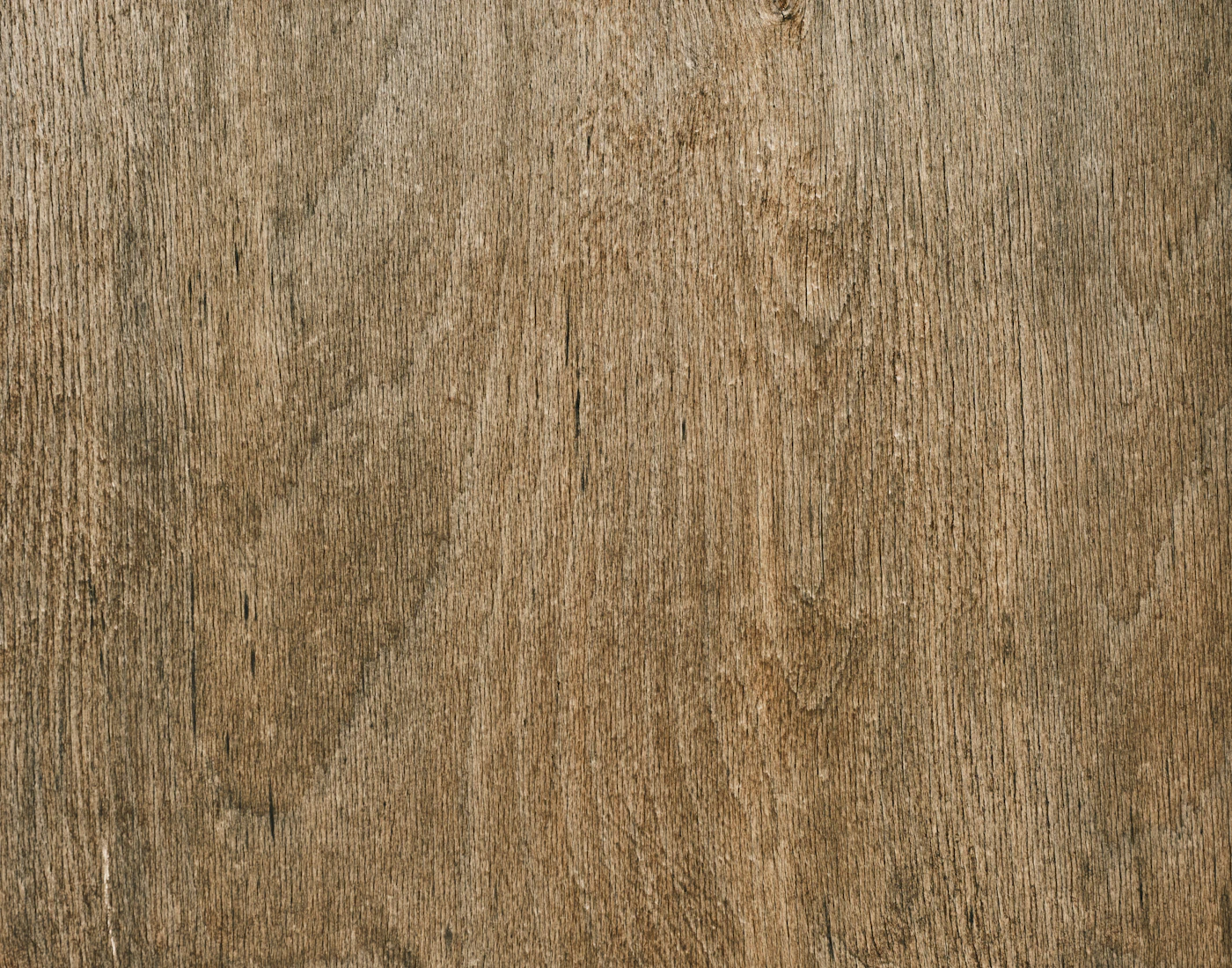 Oak grain, close