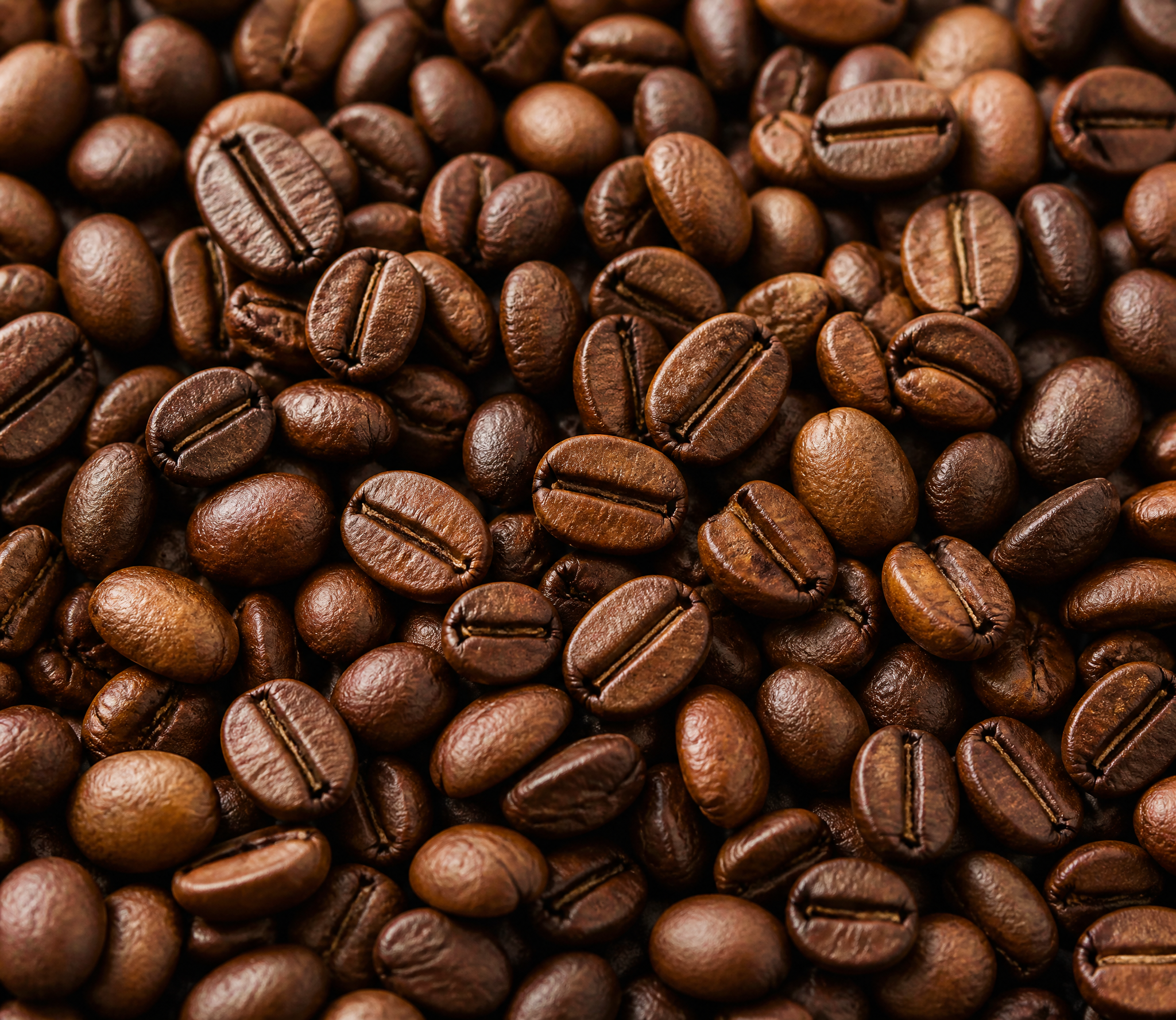 Coffee beans close up