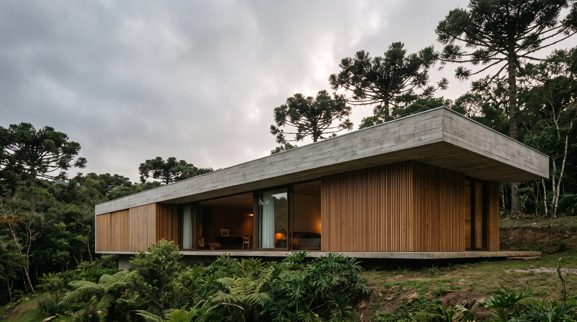 Casa térrea em concreto aparente e ripas de madeira entre araucárias, com laje em balanço
