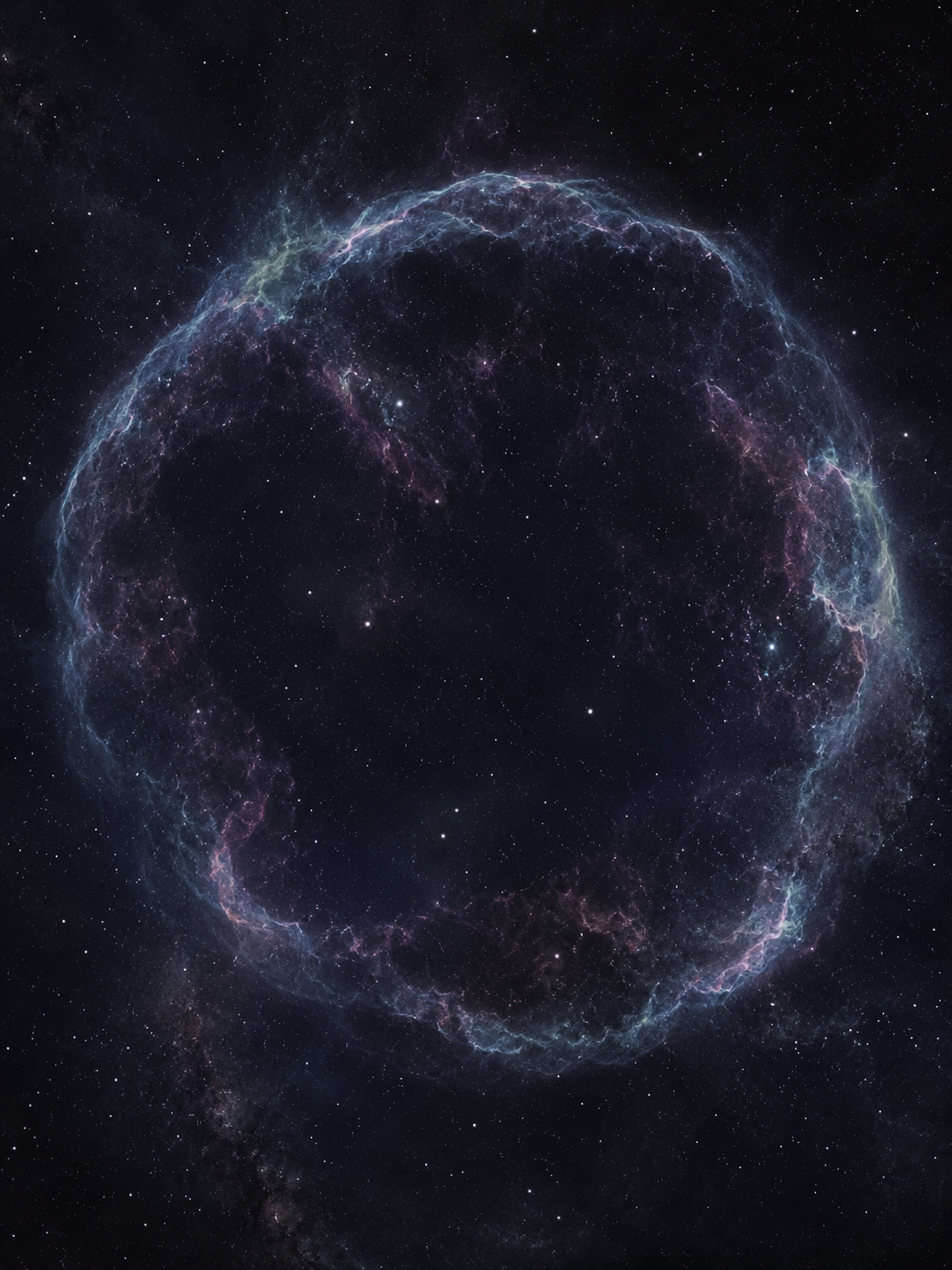 The Halo